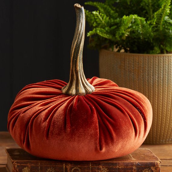 velvet pumpkin with stem